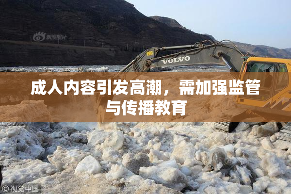 成人内容引发高潮，需加强监管与传播教育