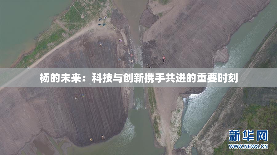 杨的未来：科技与创新携手共进的重要时刻
