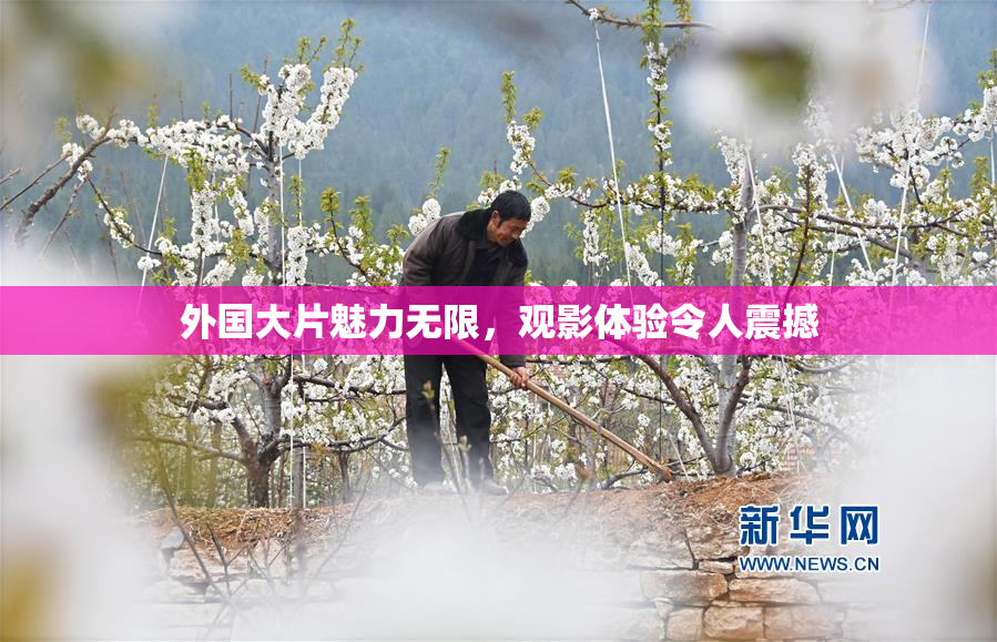外国大片魅力无限，观影体验令人震撼