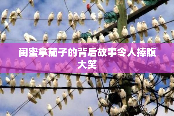 闺蜜拿茄子的背后故事令人捧腹大笑