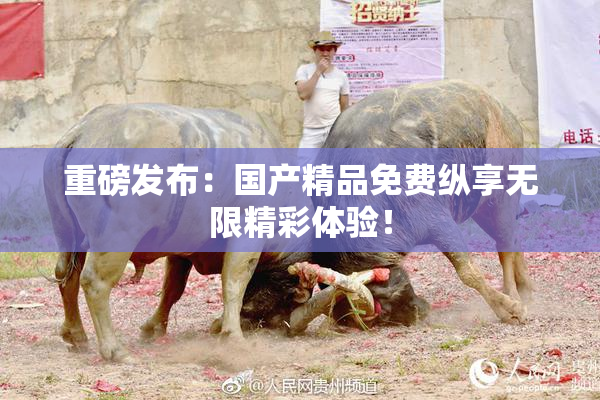 重磅发布：国产精品免费纵享无限精彩体验！