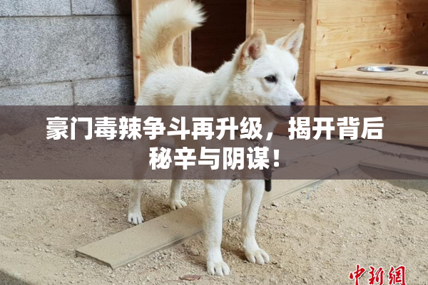 豪门毒辣争斗再升级，揭开背后秘辛与阴谋！