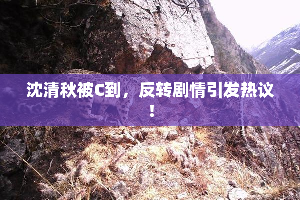 沈清秋被C到，反转剧情引发热议！