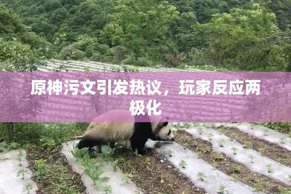 原神污文引发热议，玩家反应两极化