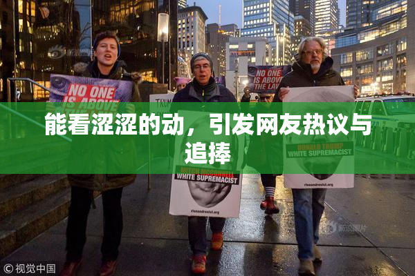 能看涩涩的动，引发网友热议与追捧