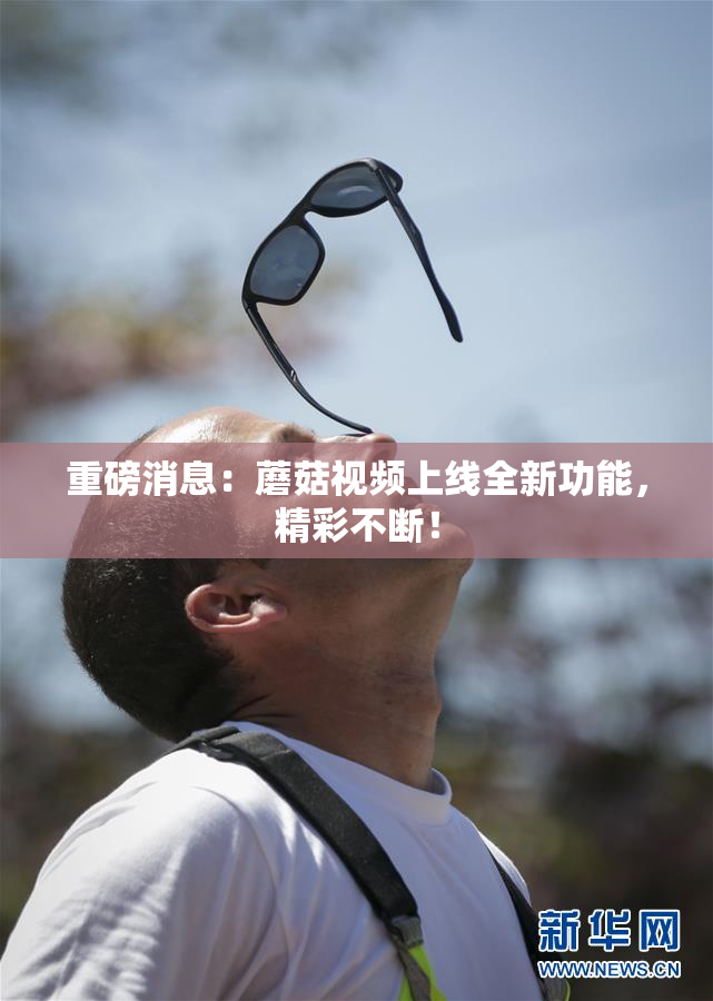 重磅消息：蘑菇视频上线全新功能，精彩不断！