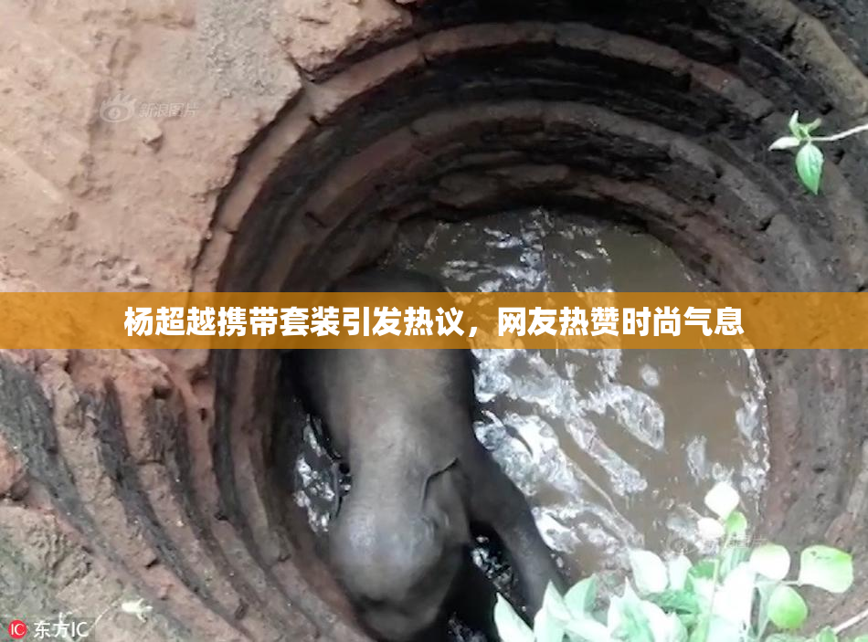 杨超越携带套装引发热议，网友热赞时尚气息