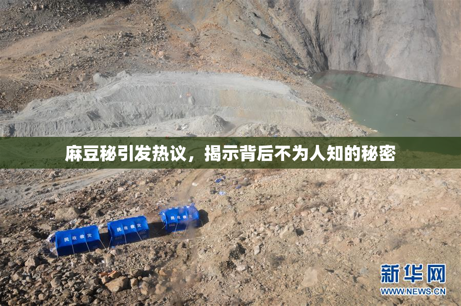 麻豆秘引发热议，揭示背后不为人知的秘密