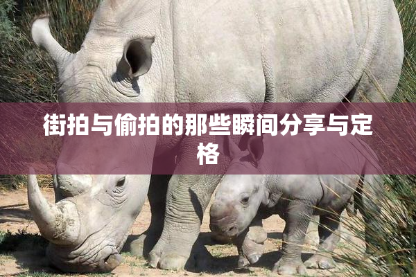 街拍与偷拍的那些瞬间分享与定格
