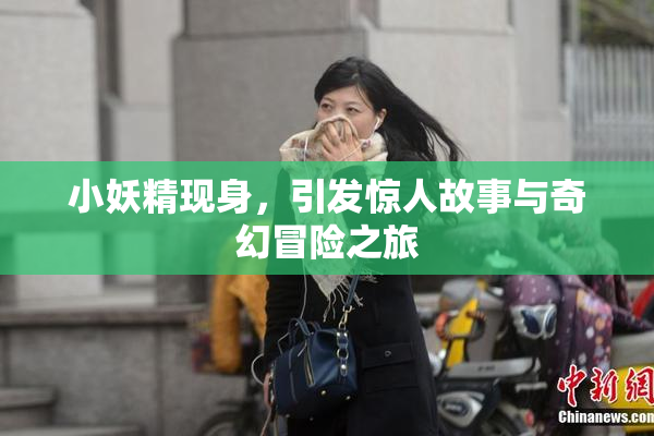 小妖精现身，引发惊人故事与奇幻冒险之旅