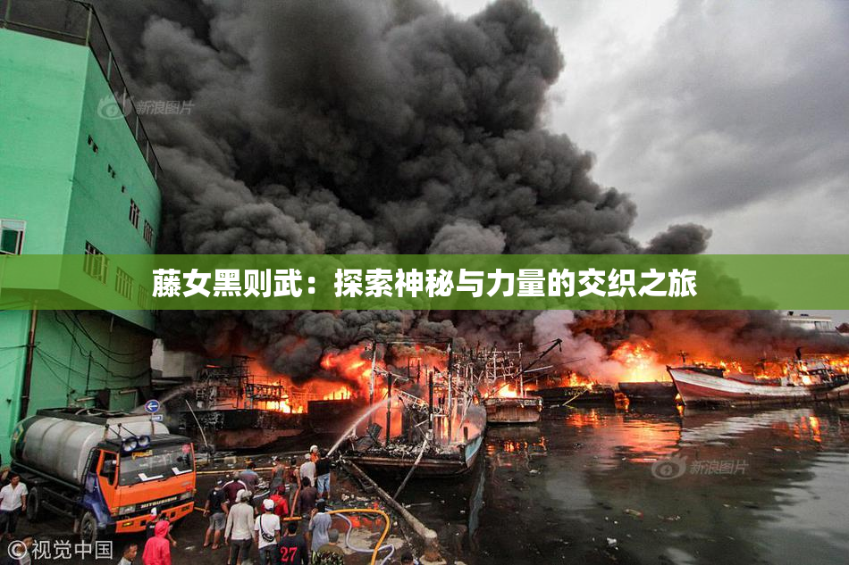 藤女黑则武：探索神秘与力量的交织之旅