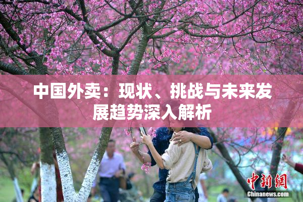 中国外卖：现状、挑战与未来发展趋势深入解析