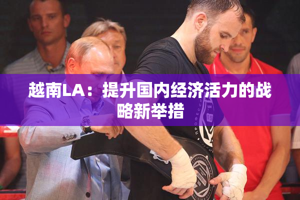 越南LA：提升国内经济活力的战略新举措