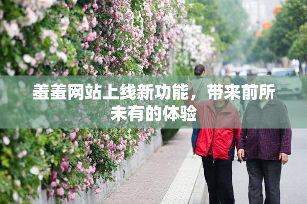 羞羞网站上线新功能，带来前所未有的体验