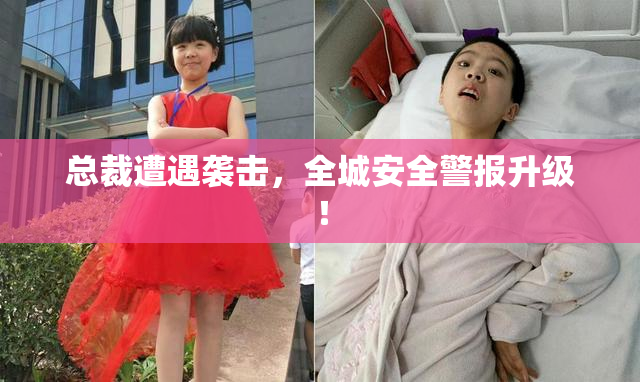 总裁遭遇袭击，全城安全警报升级！