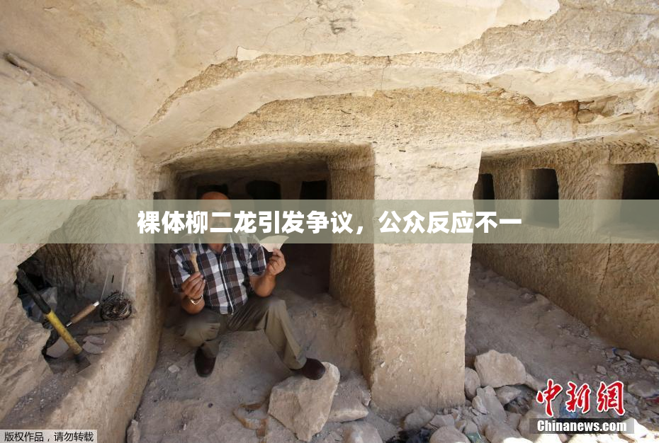裸体柳二龙引发争议，公众反应不一