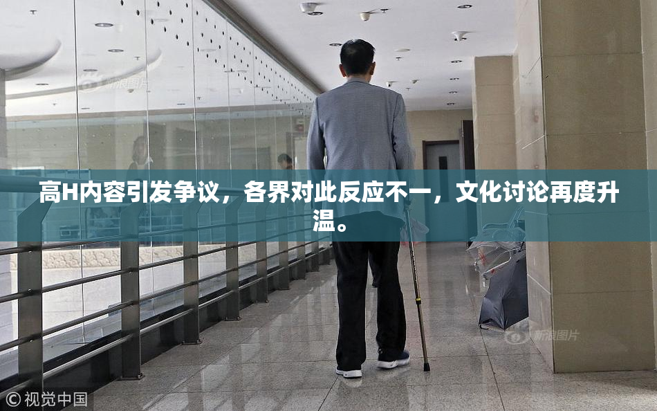 高H内容引发争议，各界对此反应不一，文化讨论再度升温。