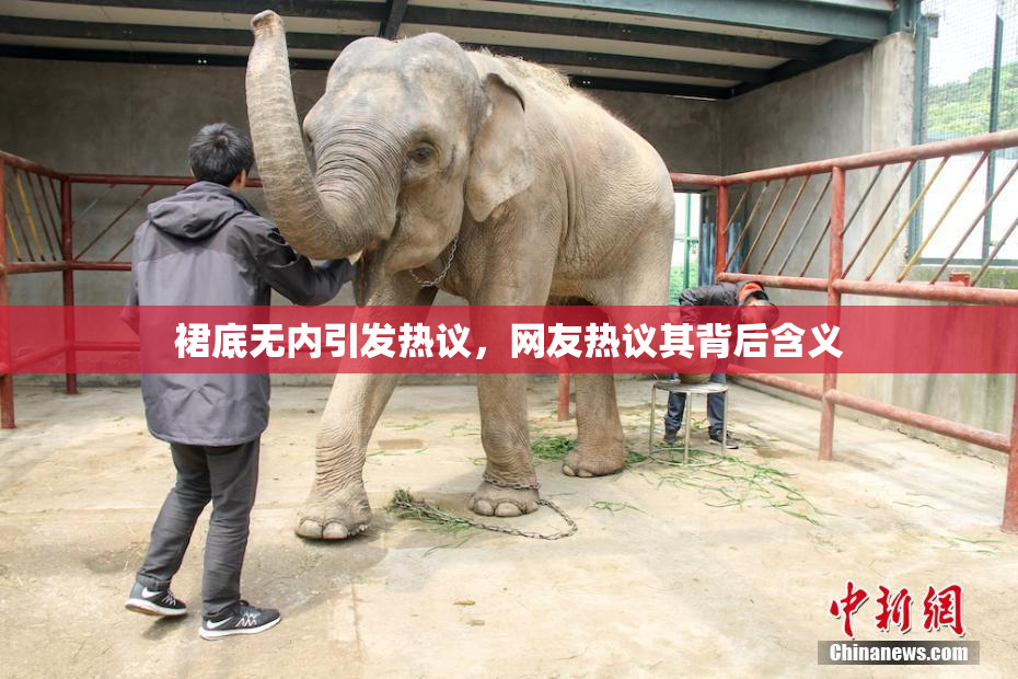 裙底无内引发热议，网友热议其背后含义