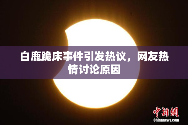 白鹿跪床事件引发热议，网友热情讨论原因