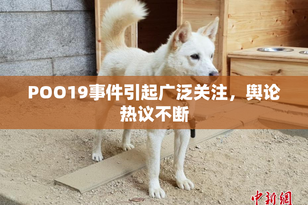POO19事件引起广泛关注，舆论热议不断