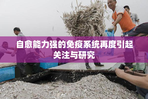 自愈能力强的免疫系统再度引起关注与研究