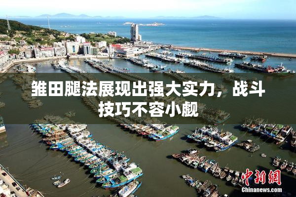 雏田腿法展现出强大实力，战斗技巧不容小觑