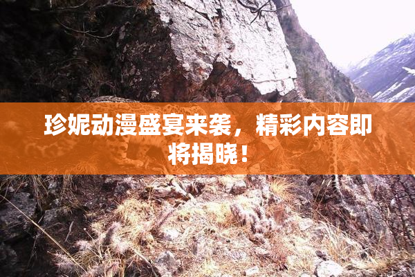 珍妮动漫盛宴来袭，精彩内容即将揭晓！