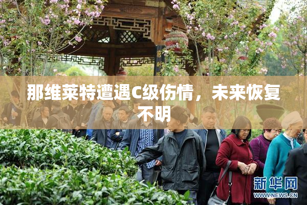 那维莱特遭遇C级伤情，未来恢复不明