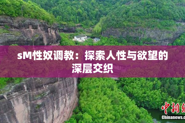 sM性奴调教：探索人性与欲望的深层交织