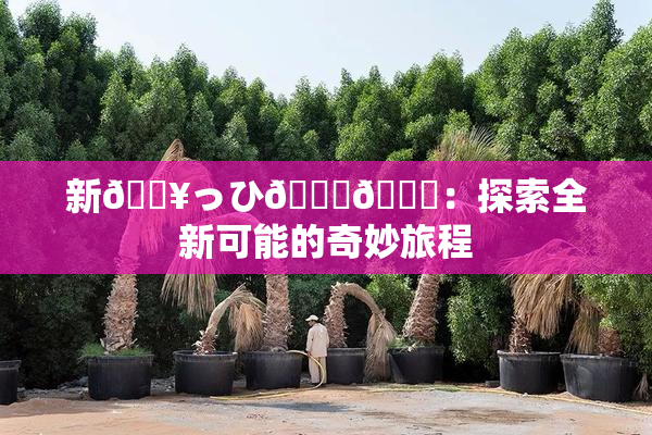 新🔥っひ🍑🍑：探索全新可能的奇妙旅程