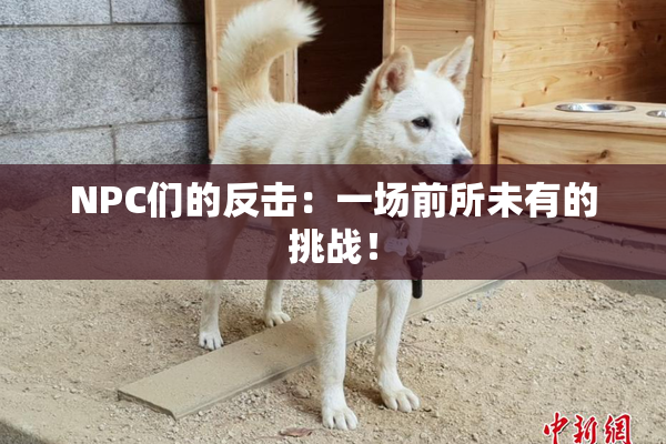 NPC们的反击：一场前所未有的挑战！