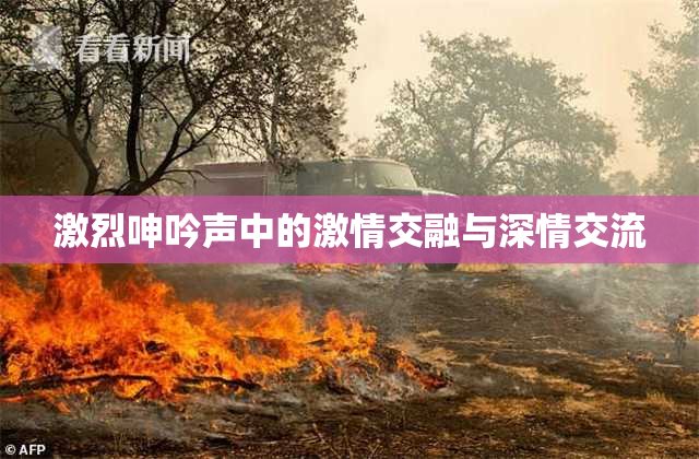 激烈呻吟声中的激情交融与深情交流