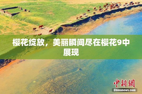 樱花绽放，美丽瞬间尽在樱花9中展现