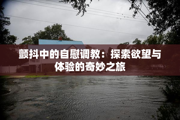 颤抖中的自慰调教：探索欲望与体验的奇妙之旅