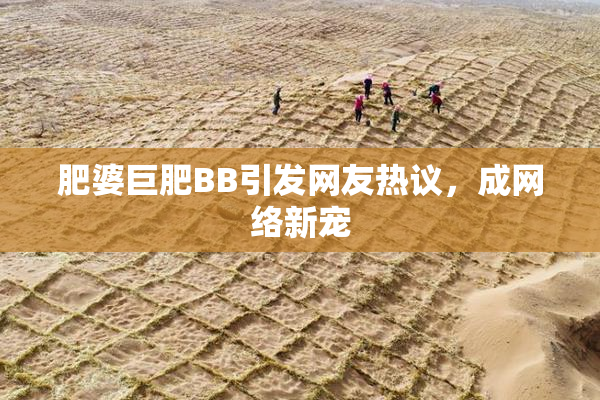 肥婆巨肥BB引发网友热议，成网络新宠