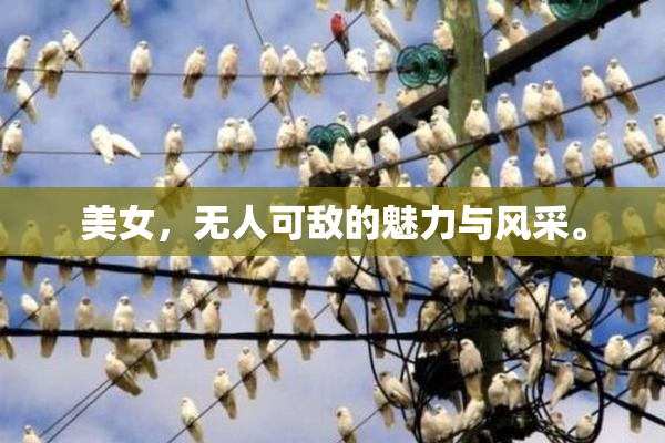 美女，无人可敌的魅力与风采。