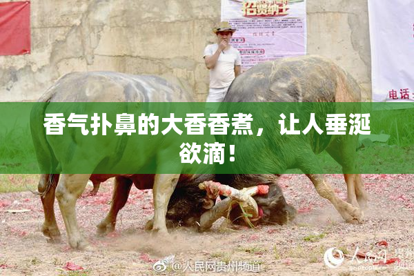香气扑鼻的大香香煮，让人垂涎欲滴！