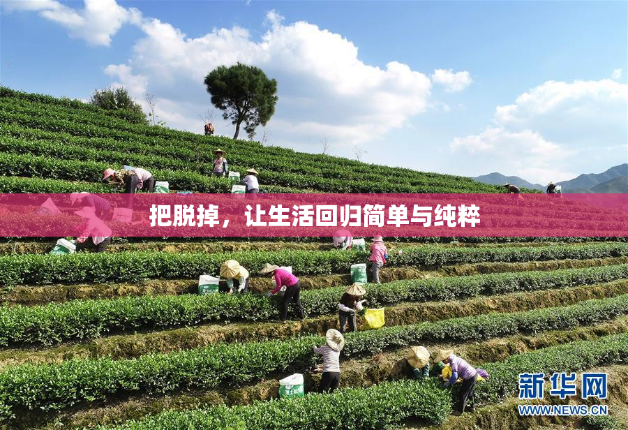 把脱掉，让生活回归简单与纯粹
