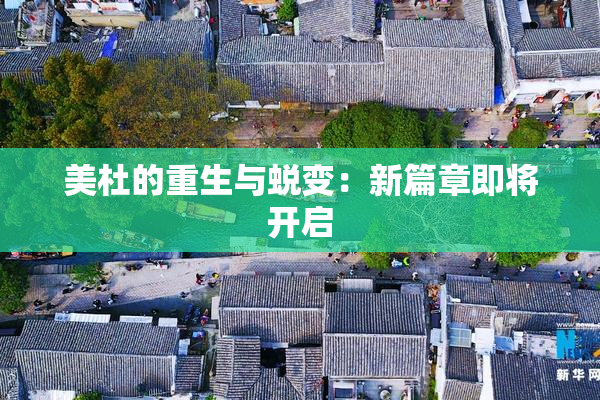 美杜的重生与蜕变：新篇章即将开启