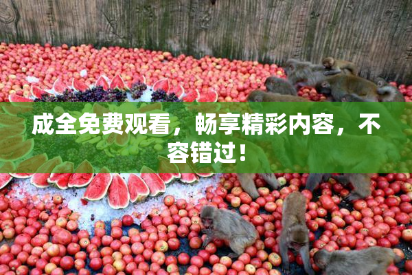 成全免费观看，畅享精彩内容，不容错过！