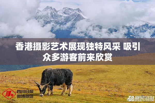 香港摄影艺术展现独特风采 吸引众多游客前来欣赏