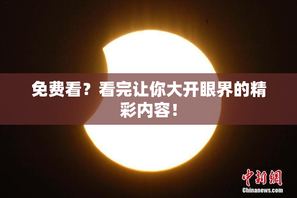 免费看？看完让你大开眼界的精彩内容！