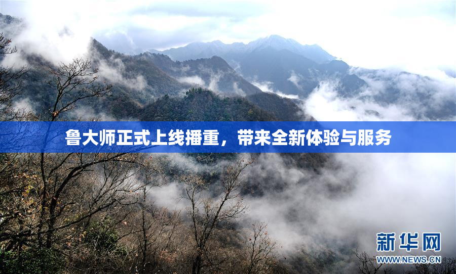 鲁大师正式上线播重，带来全新体验与服务