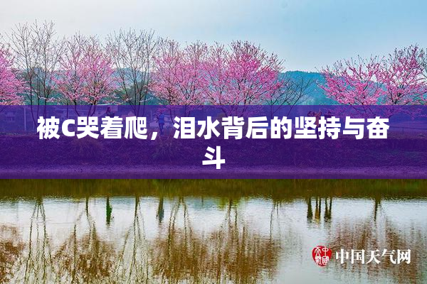 被C哭着爬，泪水背后的坚持与奋斗