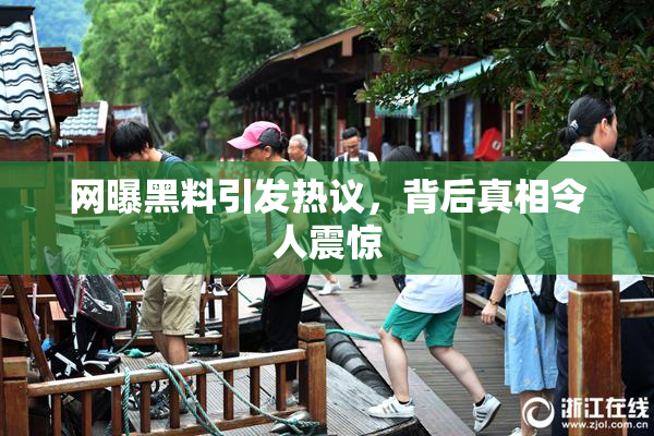 网曝黑料引发热议，背后真相令人震惊