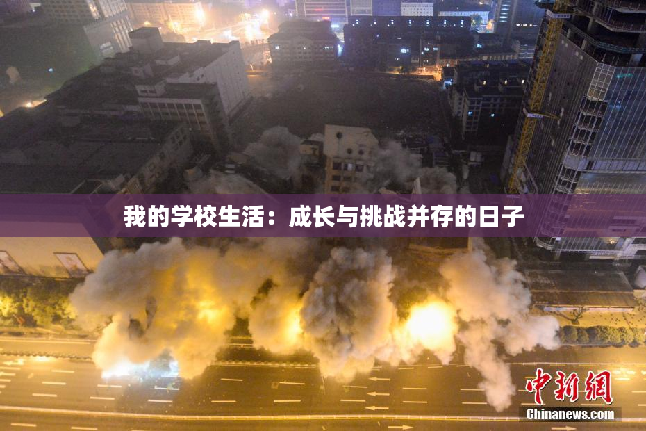 我的学校生活：成长与挑战并存的日子