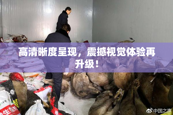高清晰度呈现，震撼视觉体验再升级！