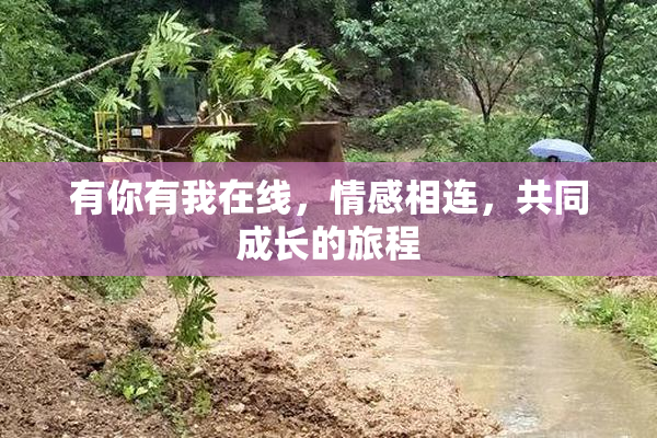 有你有我在线，情感相连，共同成长的旅程