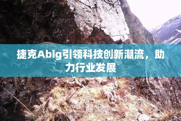 捷克Abig引领科技创新潮流，助力行业发展