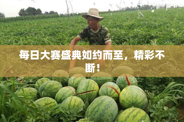 每日大赛盛典如约而至，精彩不断！
